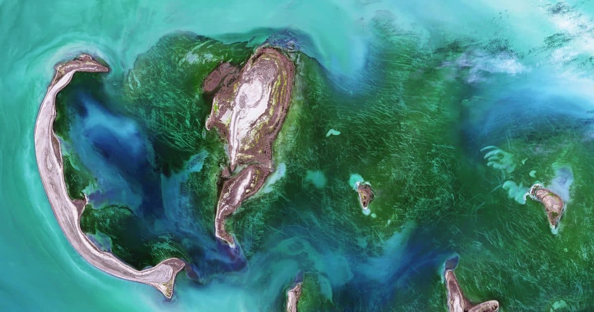 Coastal Auckland property illustrating the gap between the 1.0m sea level rise planning rule and the 1.2-1.6m Ministry for the Environment guidance